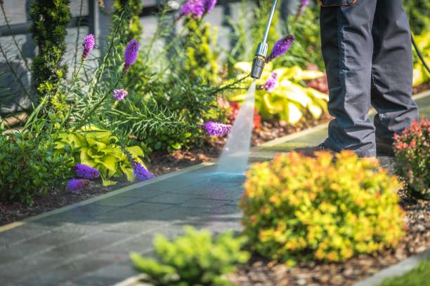 Reliable Coon Rapids, IA Pressure Washing Services Solutions